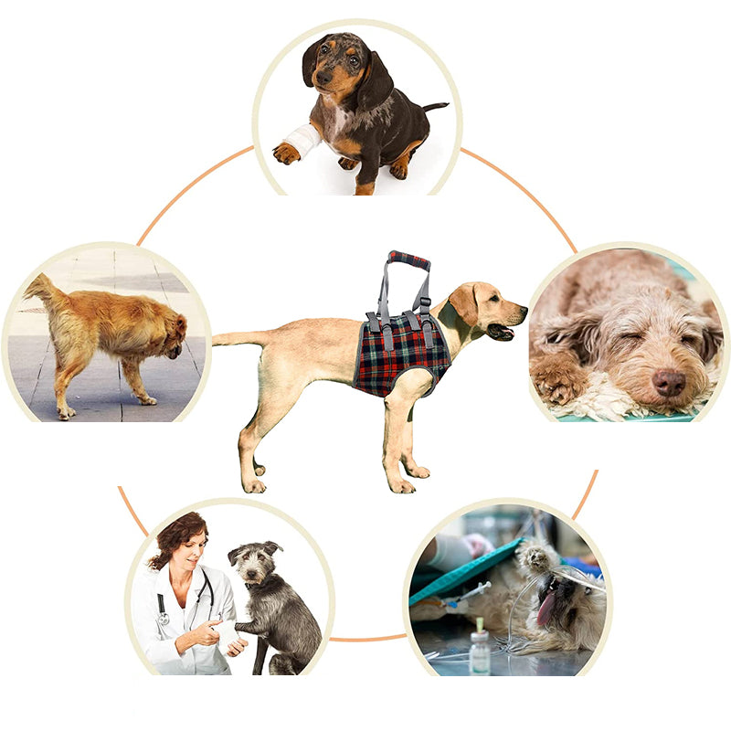 Orthopedic Dog Harness — Walking Aid for Front and Back Legs