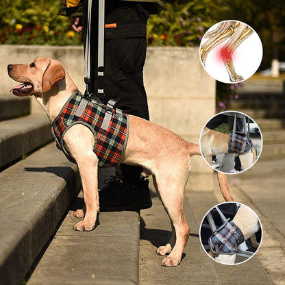 Orthopedic Dog Harness — Walking Aid for Front and Back Legs