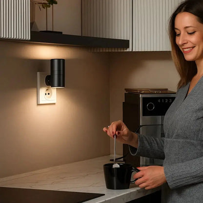LED Outlet Night Light with Twilight Sensor